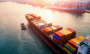 Best Ocean Freight Services LTD Global Logistics